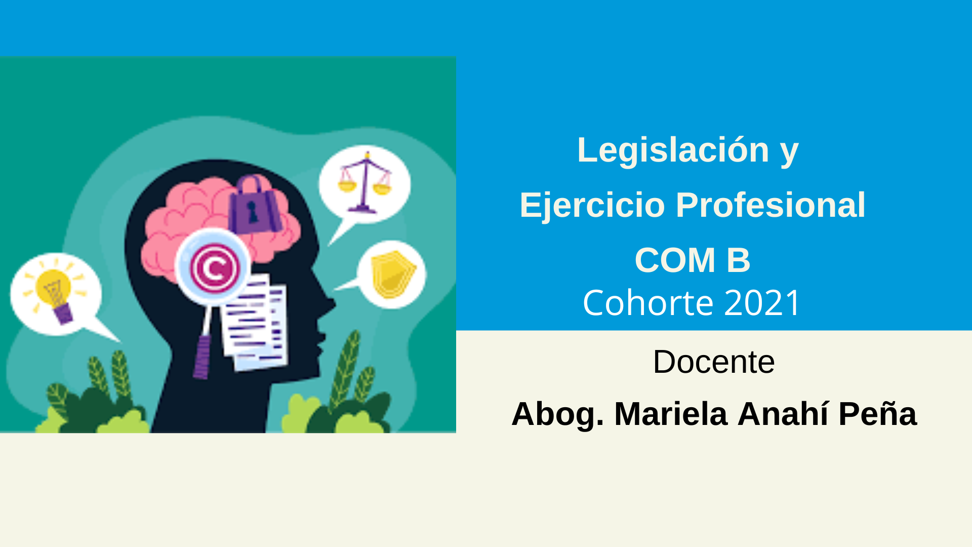 Legislación Y Ejercicio Profesional - COM B - Cohorte 2021 - SFE - LPM ...